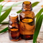 Bramaganga Eucalyptus oil